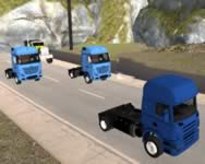 Truck driver snowy roads online